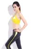 Picture of Yoga Famous Set